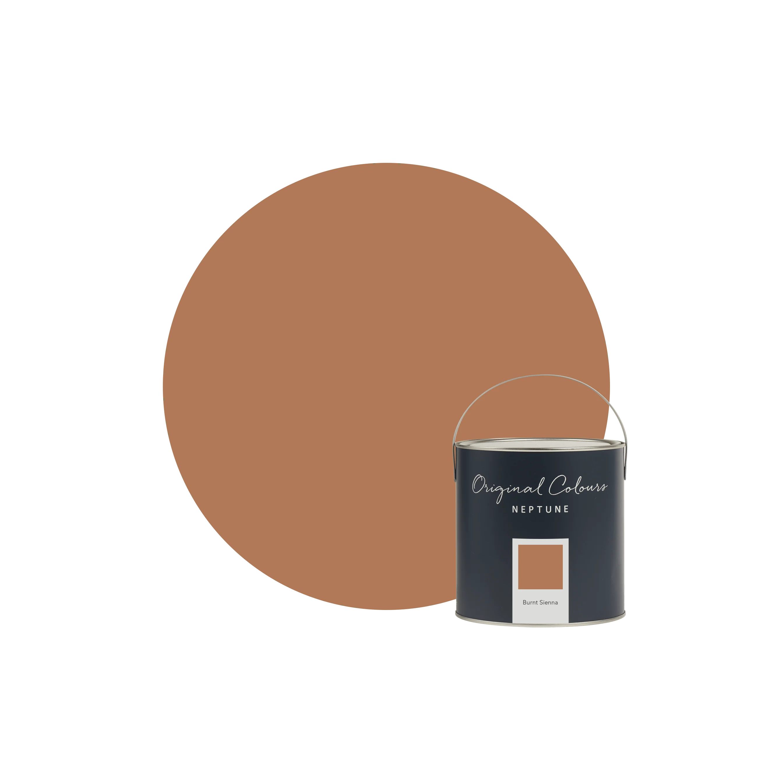 Burnt Sienna Paint