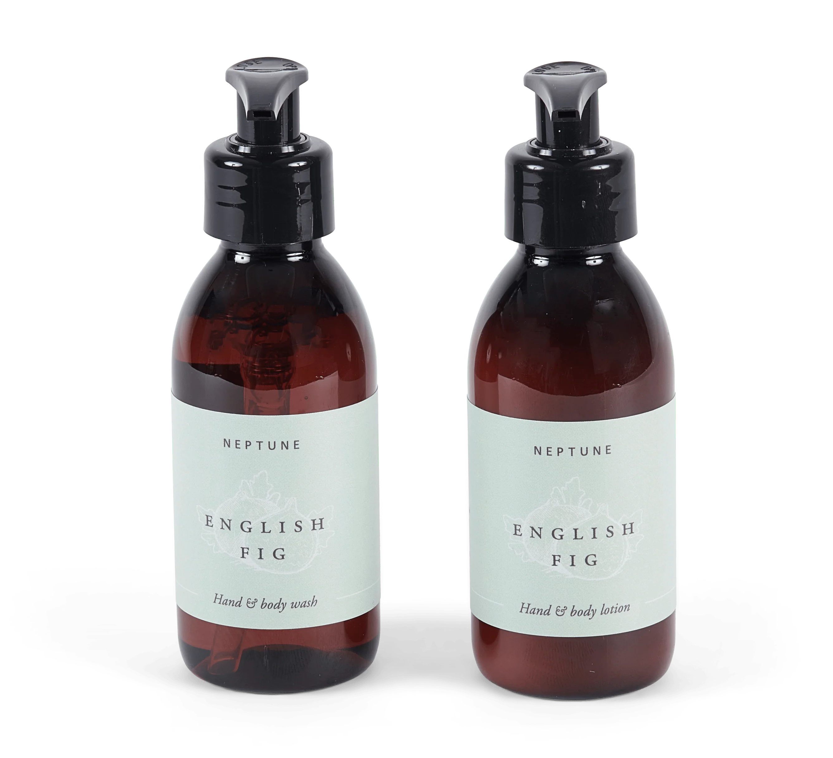 English Fig - Hand and Body Lotion Duo 150ml - Image 3