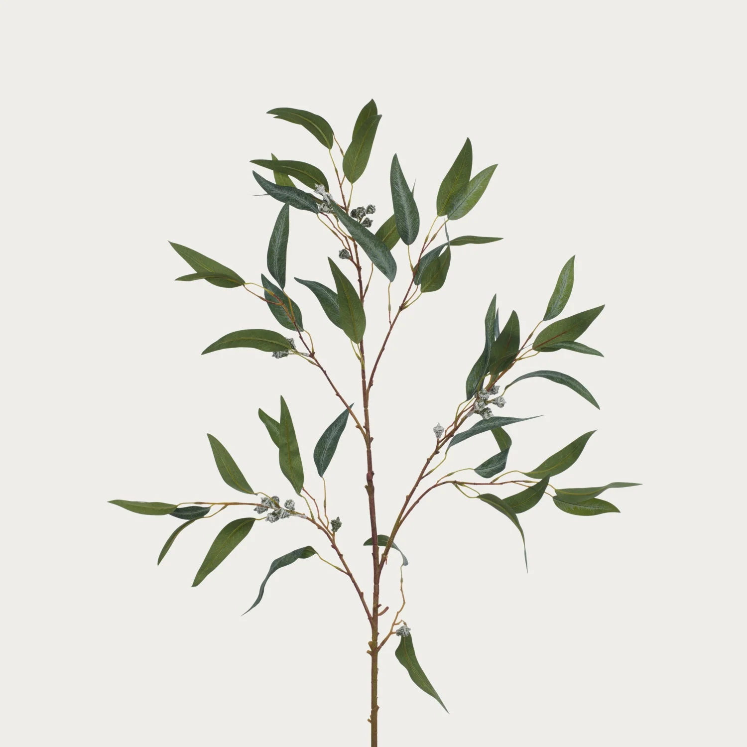 Eucalyptus Berry Spray, Dark Green - Image 3