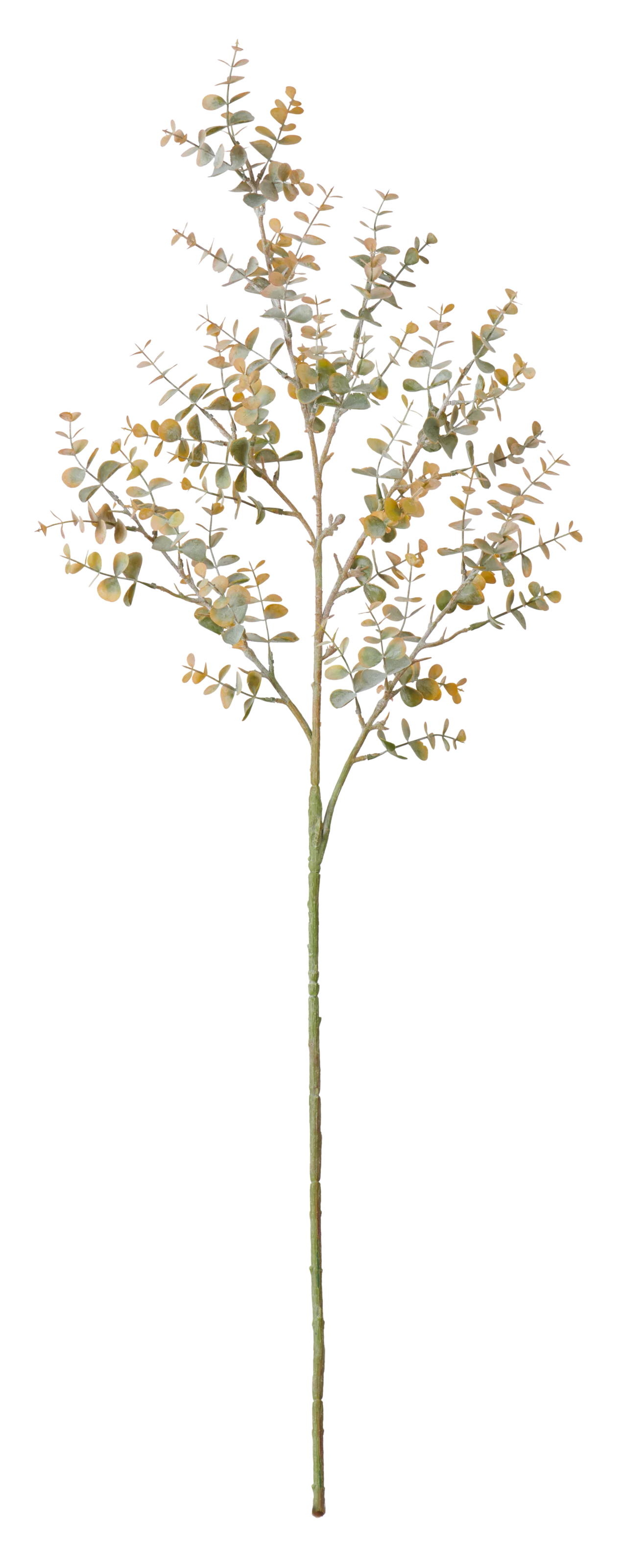 Mini Eucalyptus Spray, Russet - Image 3