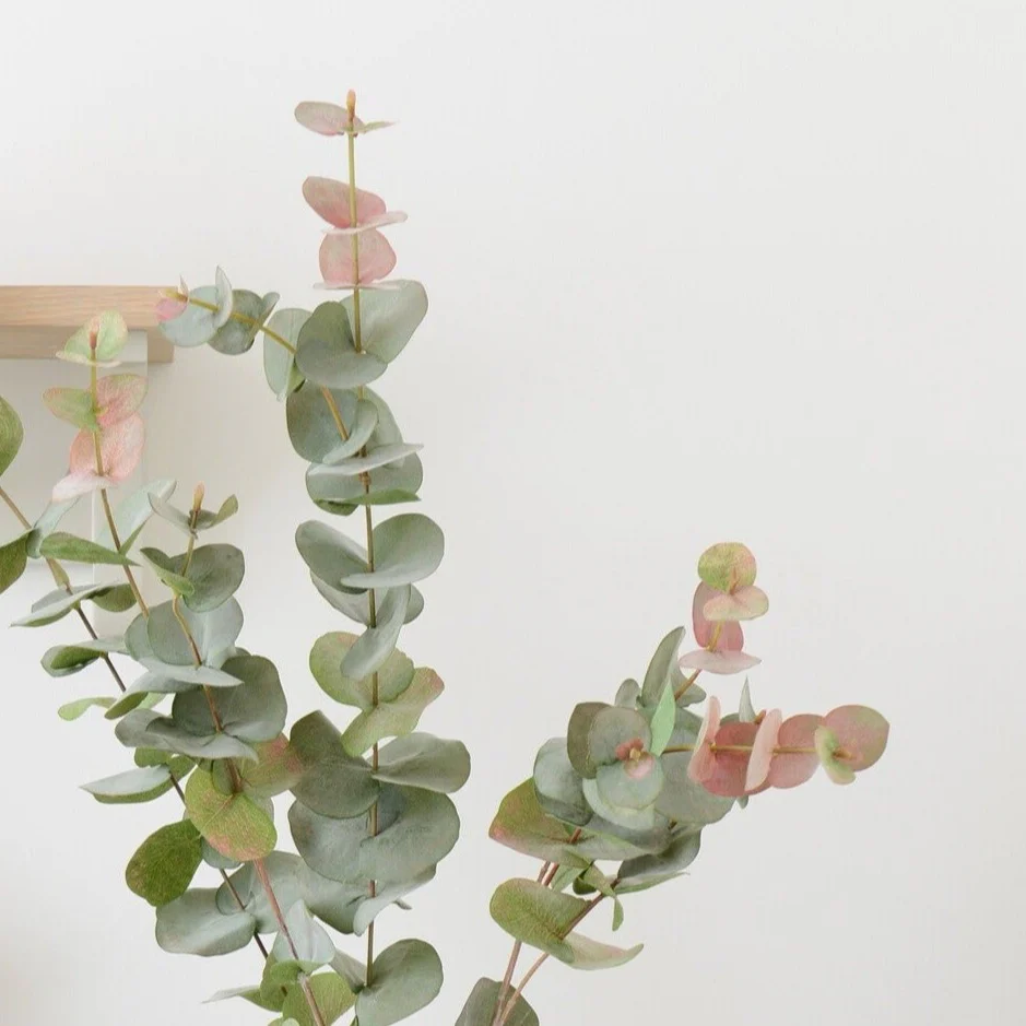 Eucalyptus Red Box Spray, Russet - Image 2