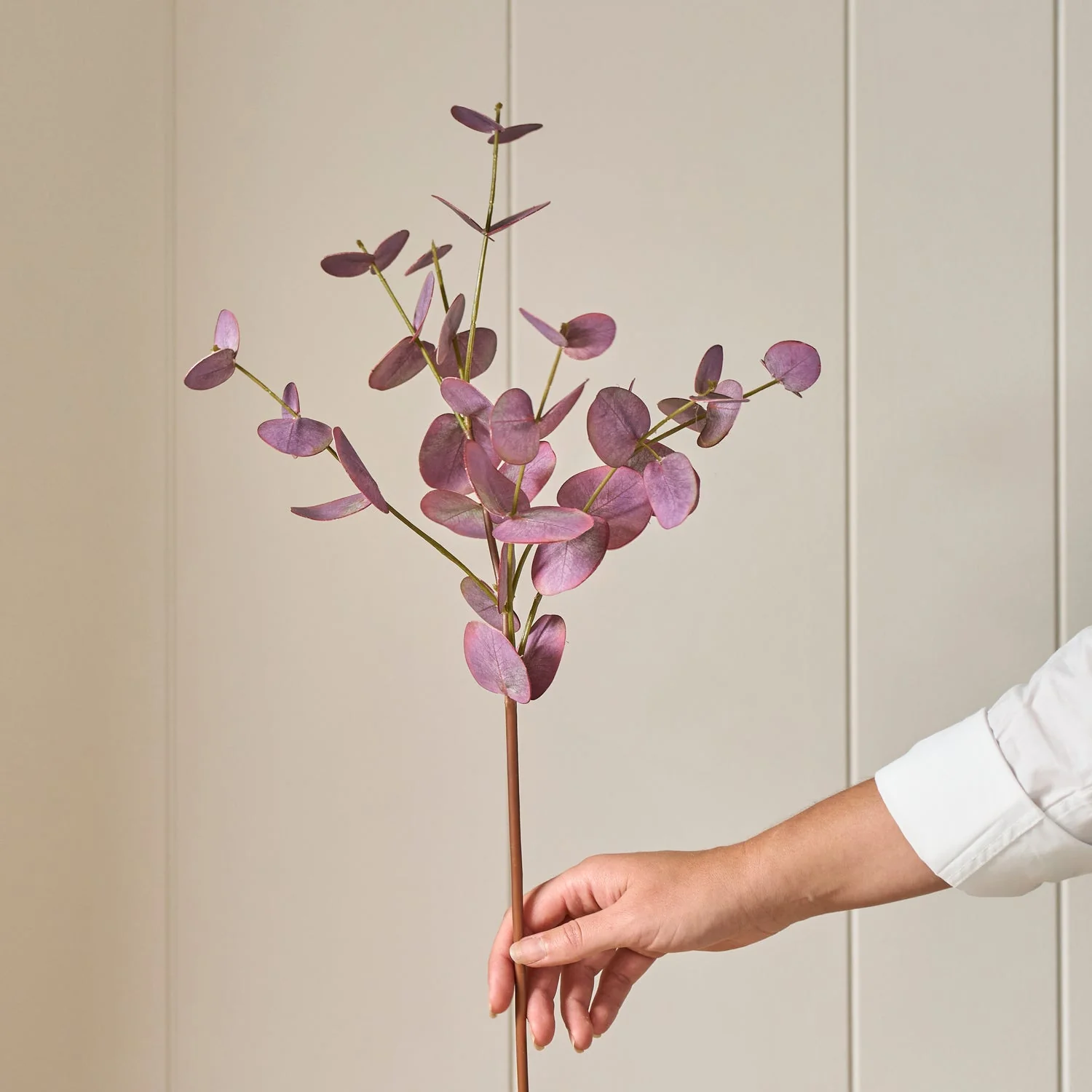 Eucalyptus Spray, Burgundy - Image 2