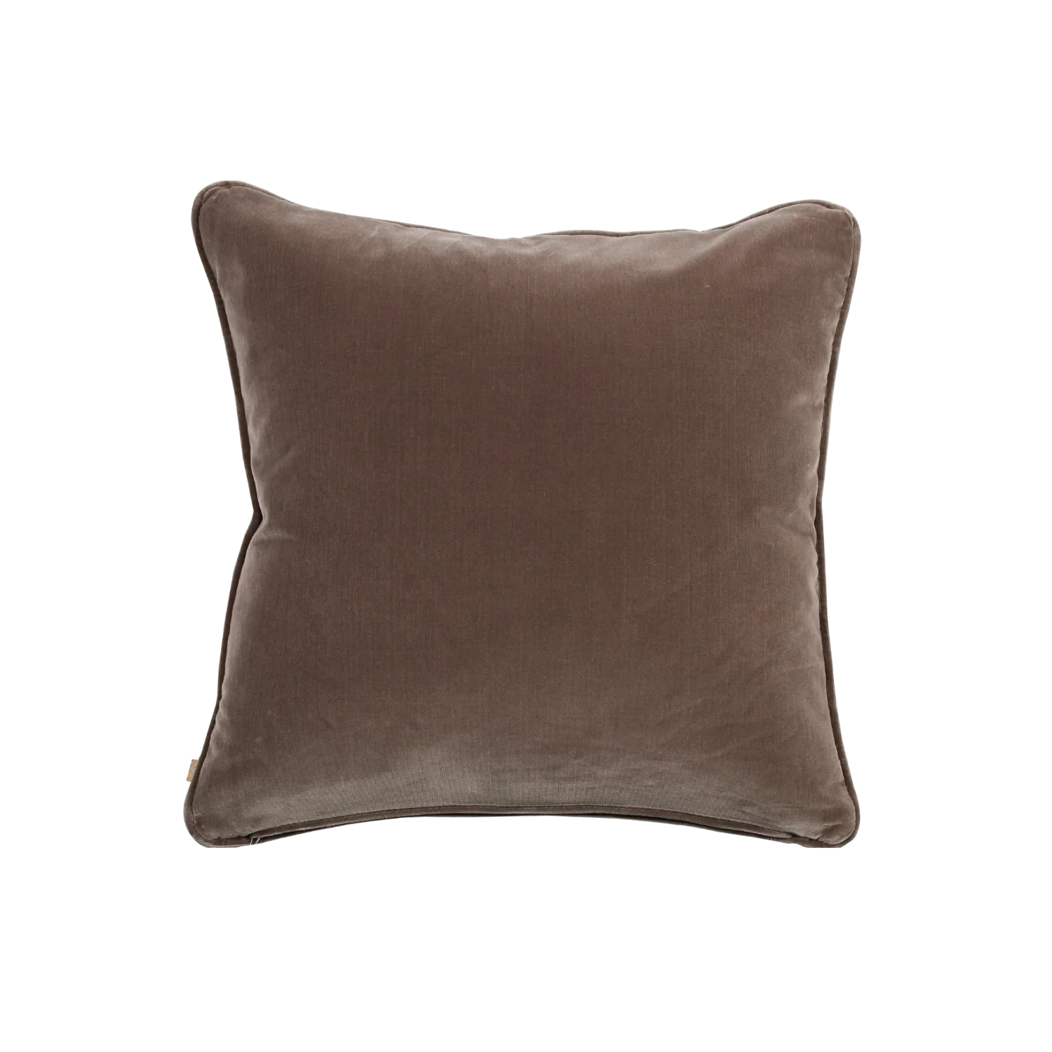 Florence Scatter Cushion, Isla Velvet - Otter