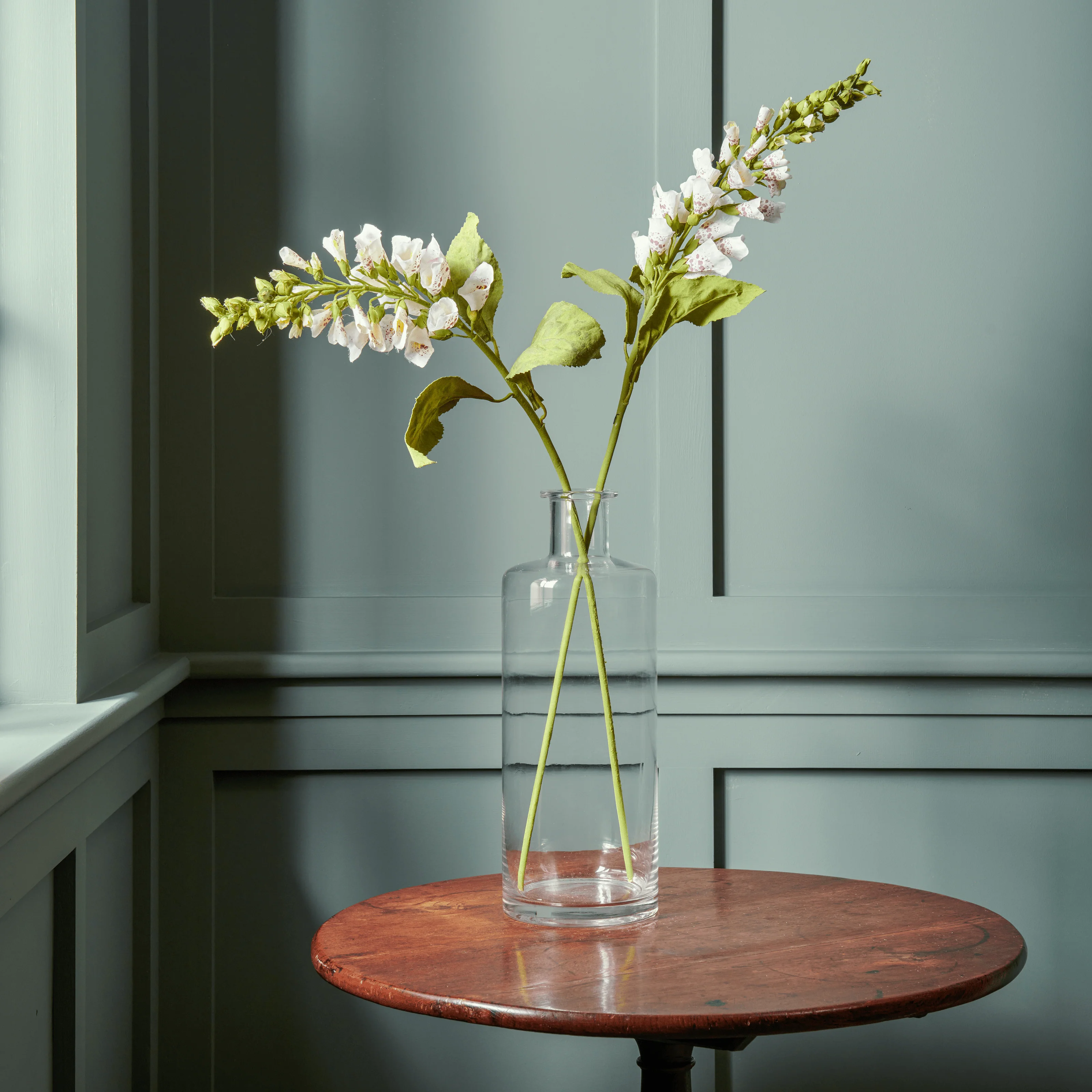 Foxglove White