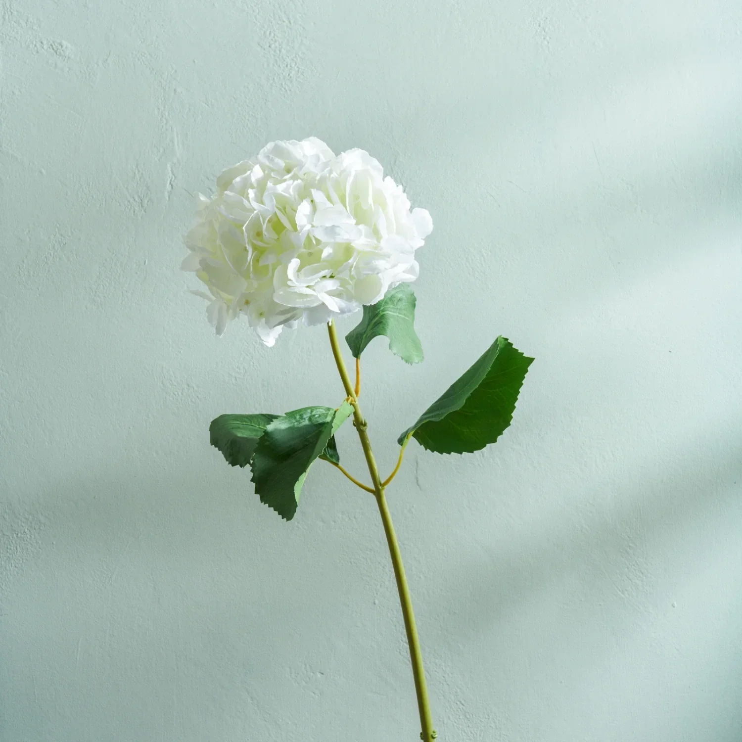 Hydrangea Stem, White