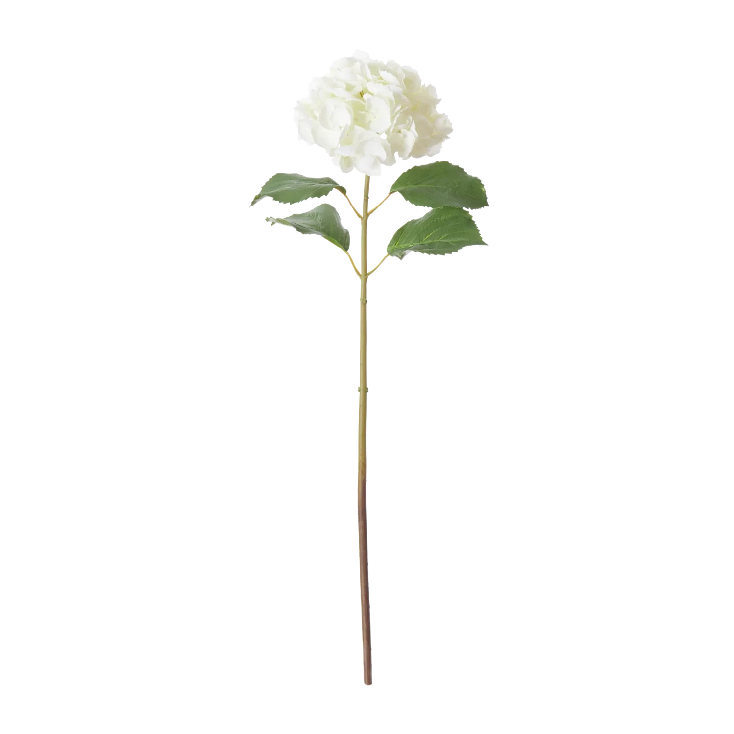 Hydrangea Stem, White - Image 3