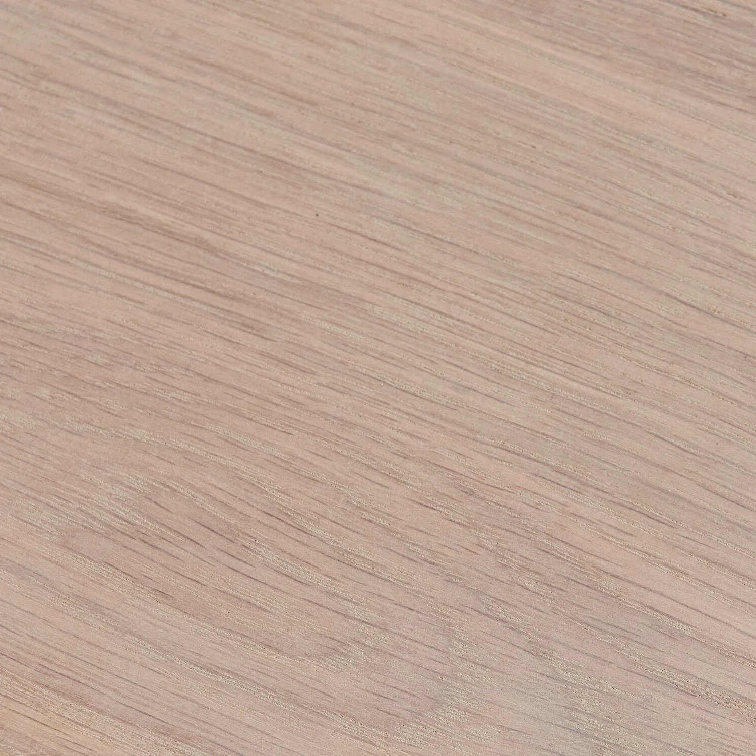 Natural Oak IsoGuard 100ml Tin - Image 2