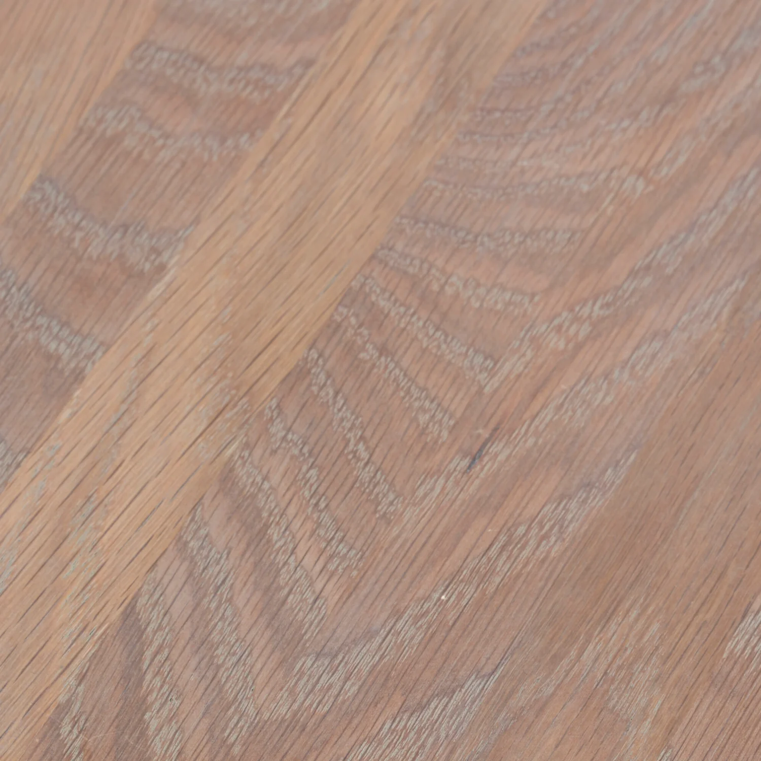 Seasoned Oak IsoGuard 100ml Tin - Image 2