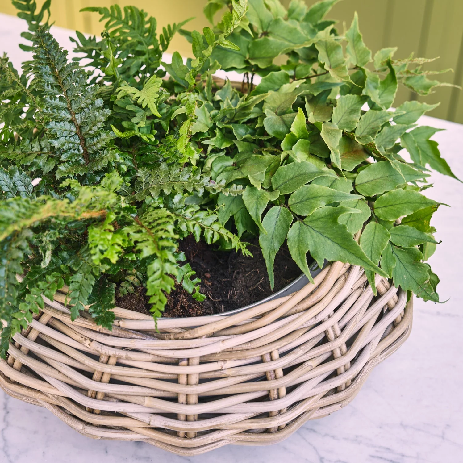 Littleton Wicker Round Basket - Image 3