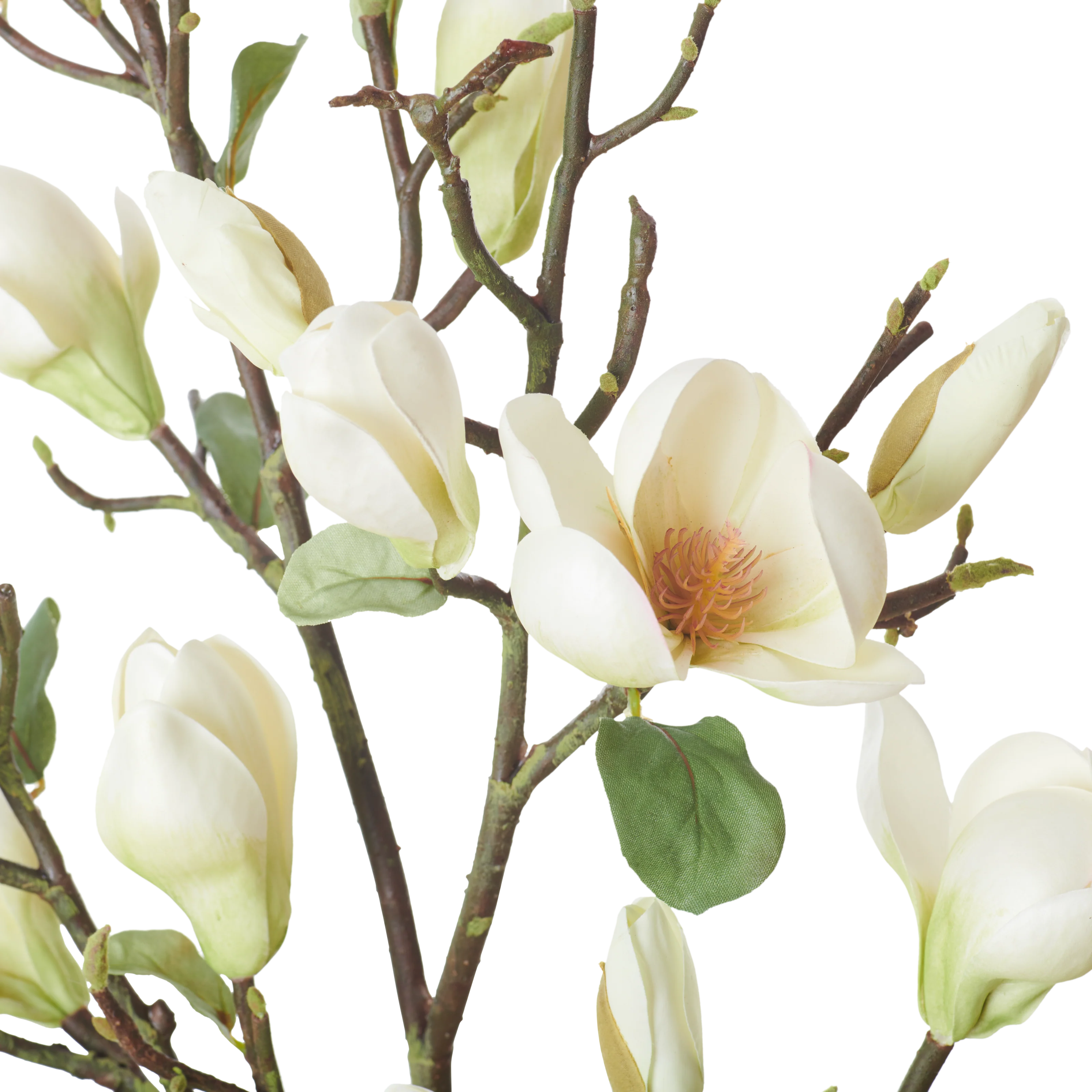 Magnolia Spray Green - Image 3