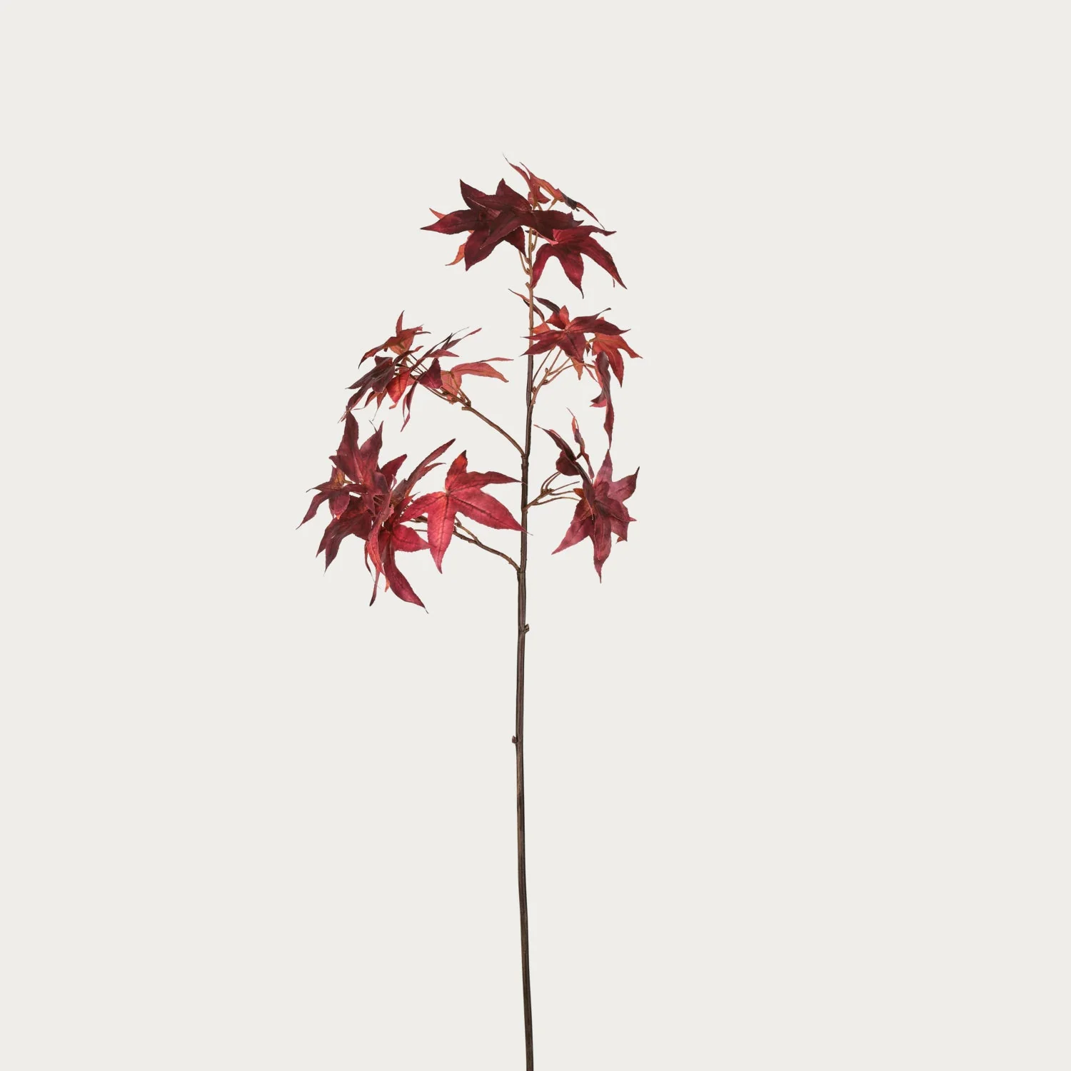 Maple Leaf, Burgundy - Image 3