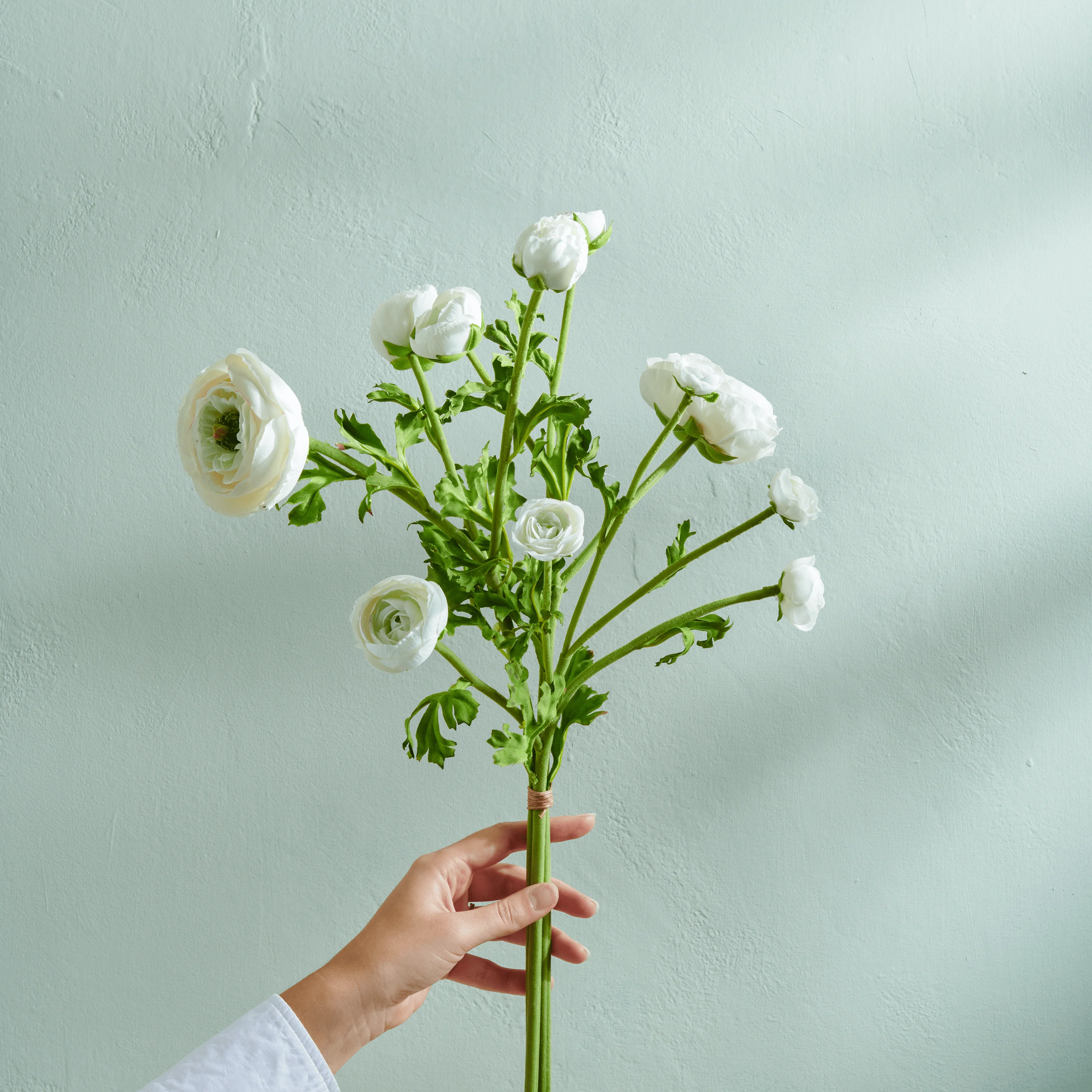 Ranunculus Bundle, White - Image 3