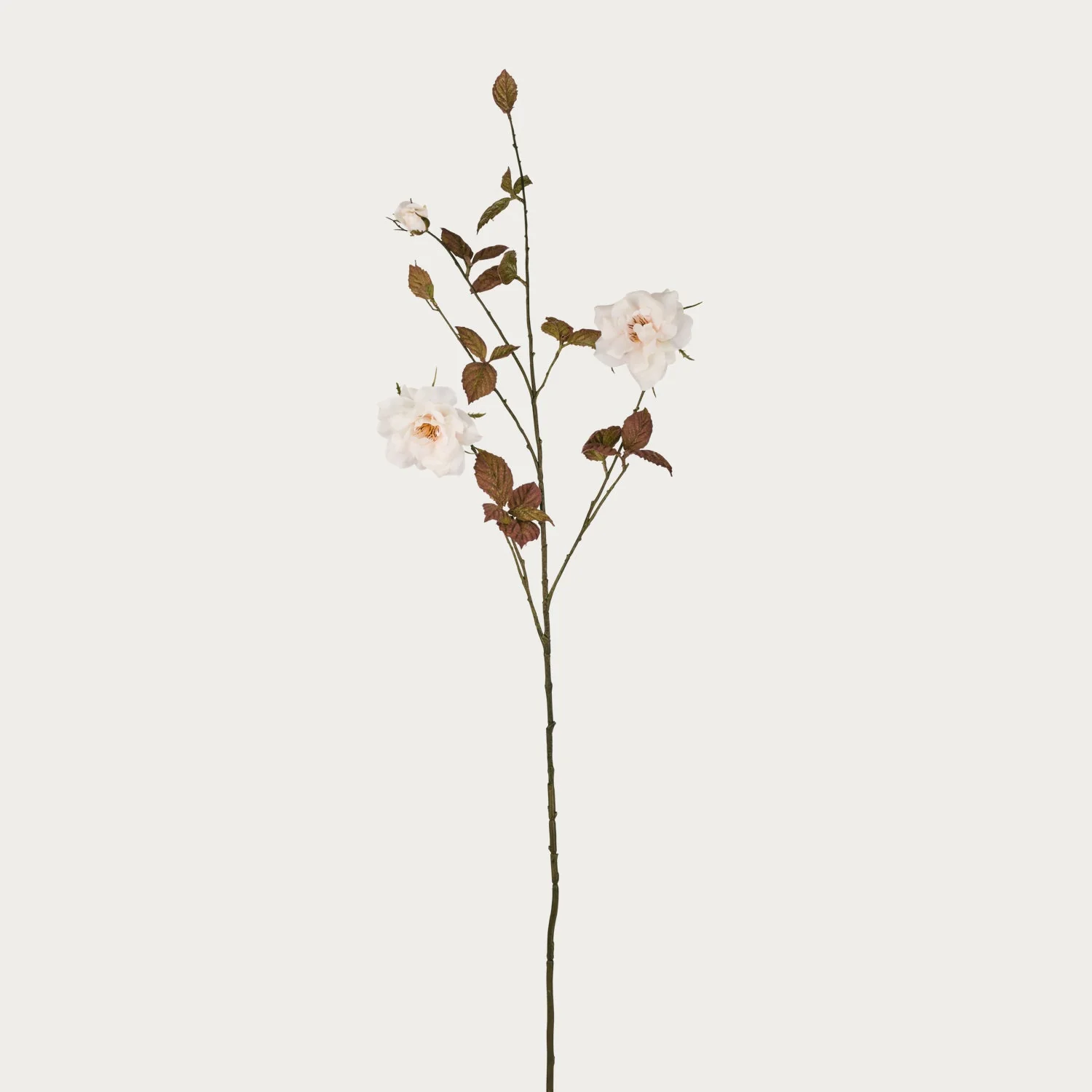 Rose Leaf Spray, Soft Pink - Image 3