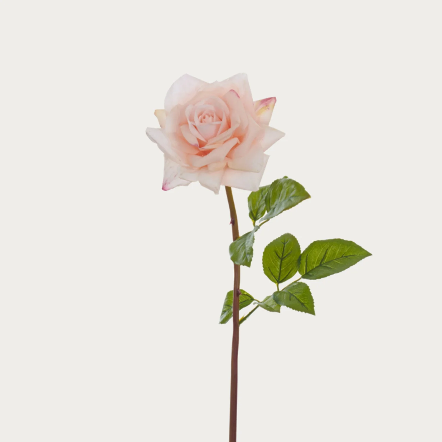 Rose Stem, Pink - Image 3