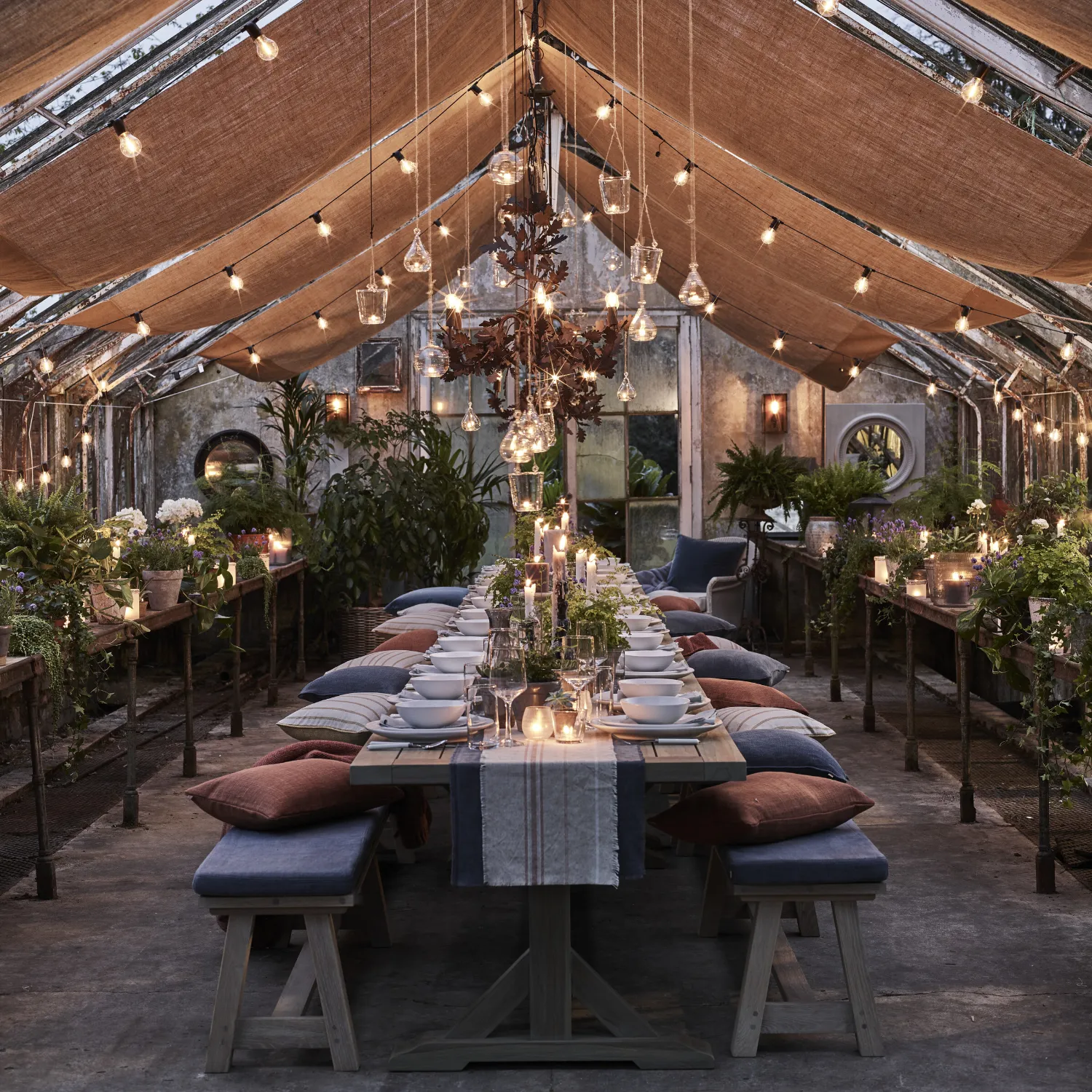 Rosewood 5 Metre Festoon Lights - Image 6
