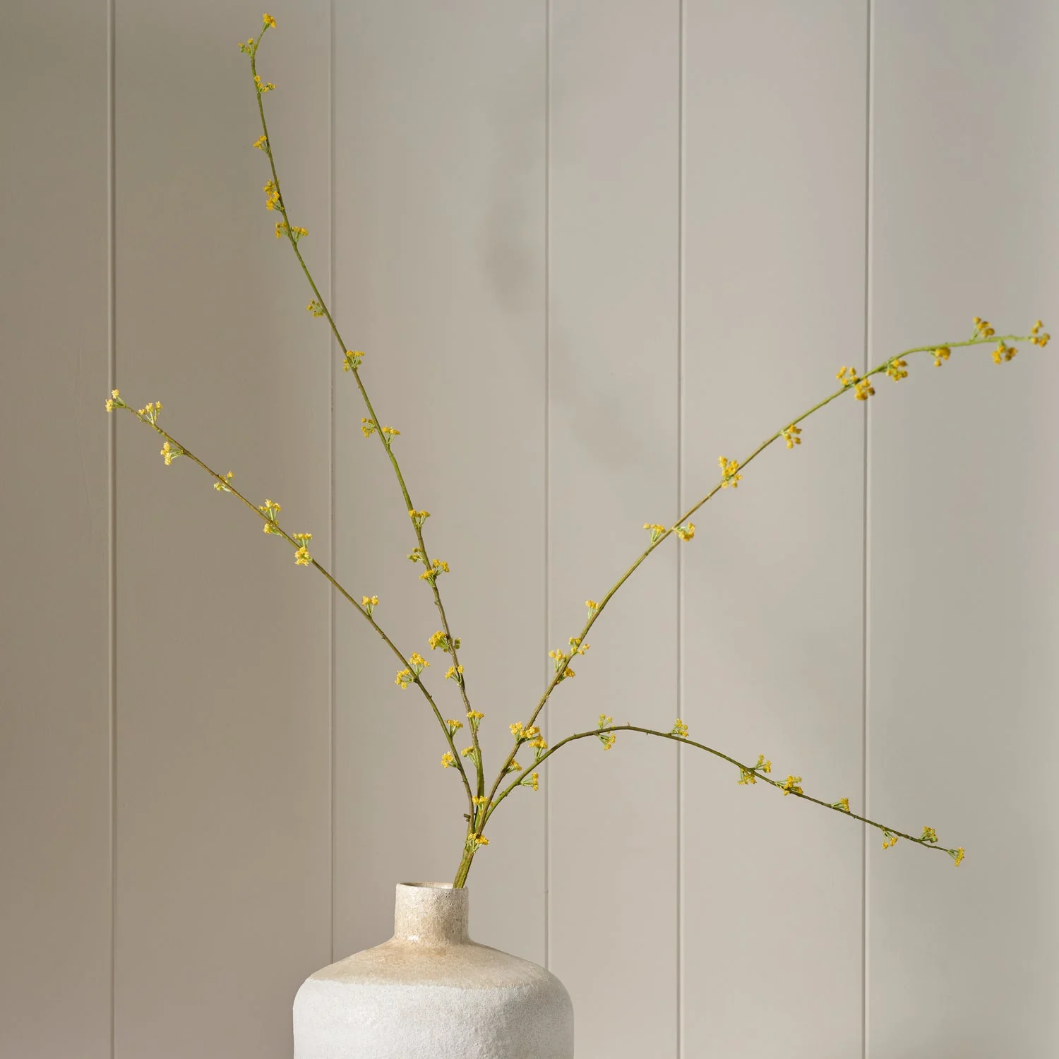 Spirarea Spray, Yellow