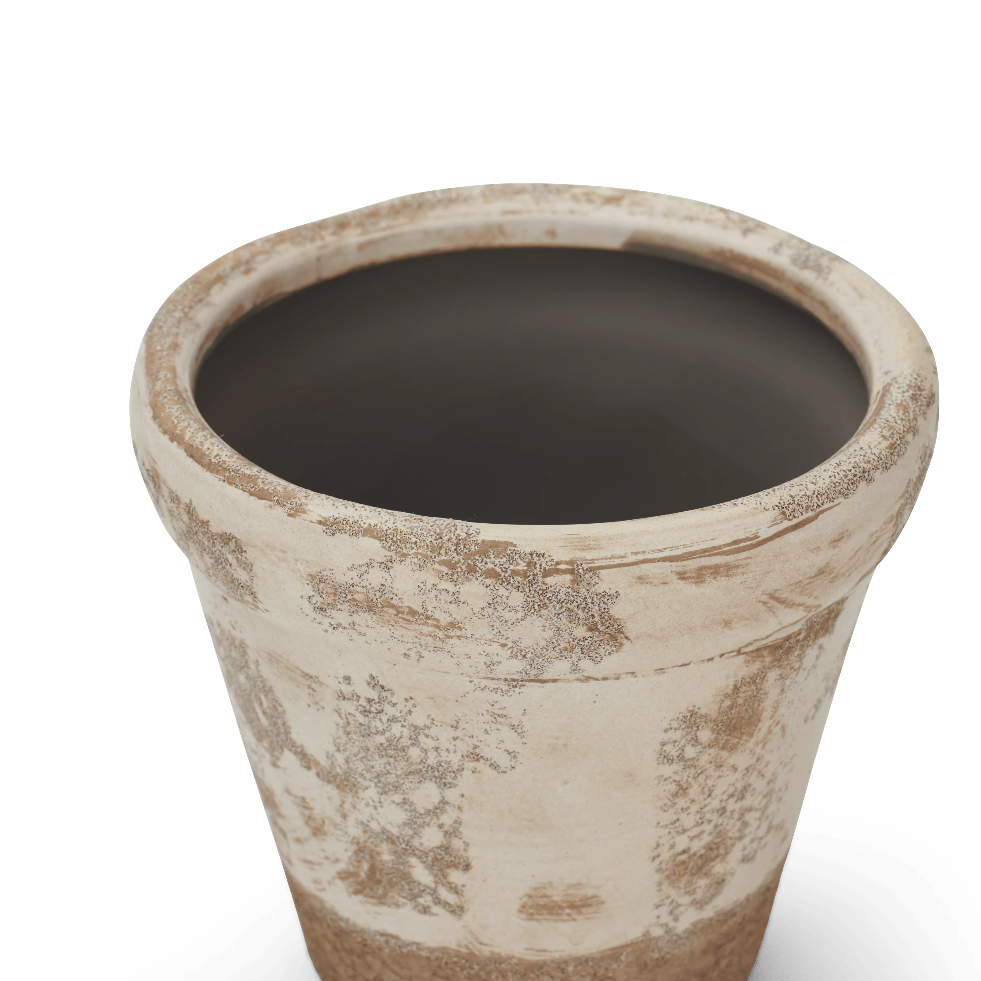 Thyme Terracotta Pot - Small - Image 4
